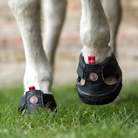 Equine Fusion Slim Trekking Shoe #colour_black