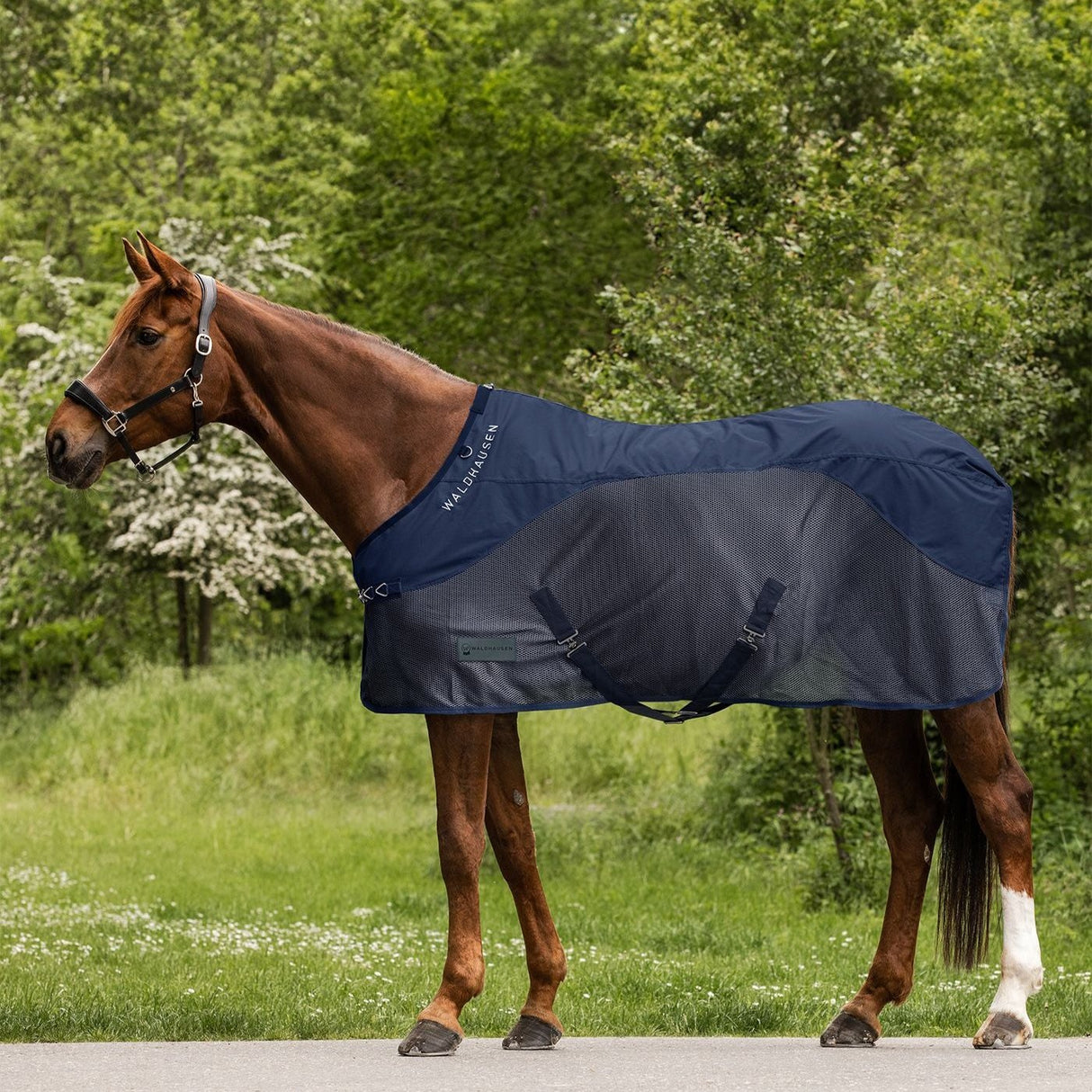 Waldhausen Comfort Rainsheet-Fly Rug #colour_night-blue