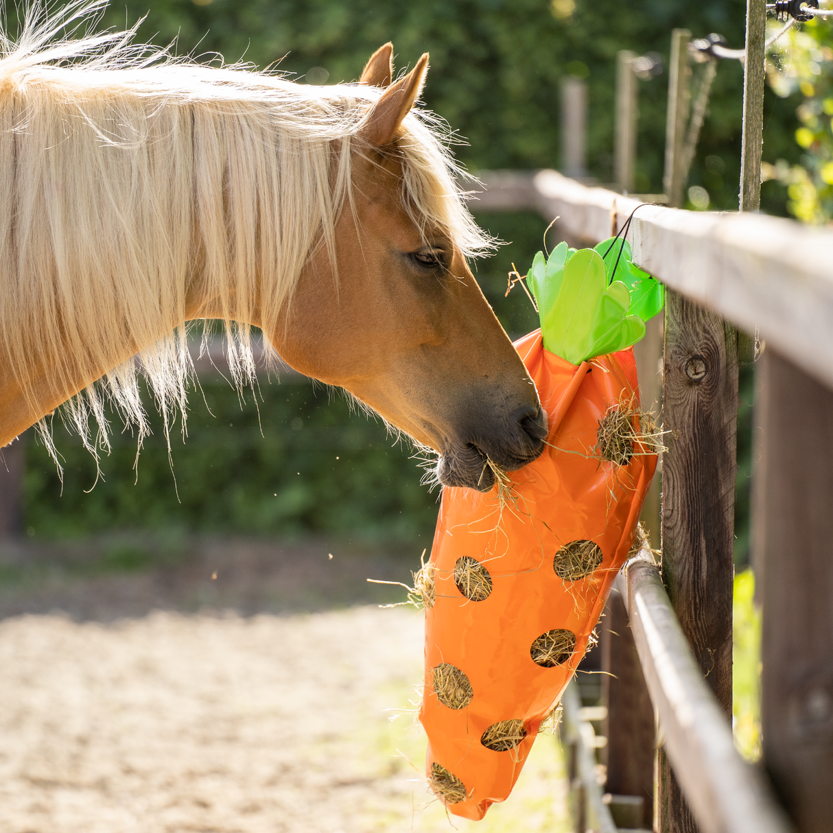 Imperial Riding Carrot Hay Bag #colour_orange