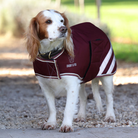 Shires Digby＆Fox防水犬のコート