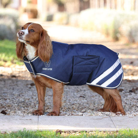 Shires Digby＆Fox防水犬のコート