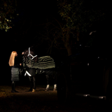 Horseware Ireland Amigo 1200D FieldSafe Reflectech Plus 250g Turnout Rug #colour_black-reflective-black