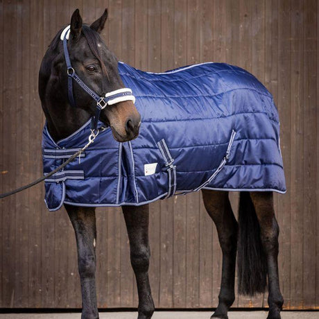 Waldhausen Economic 200g Stable Rug #colour_night-blue