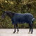 Waldhausen Scandic 50g Turnout Rug #colour_night-blue