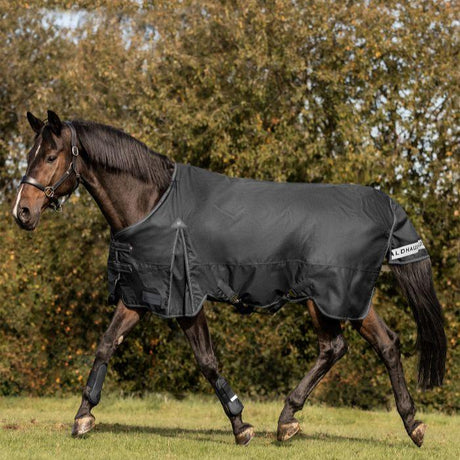 Waldhausen Arctic 300g Turnout Rug #colour_black