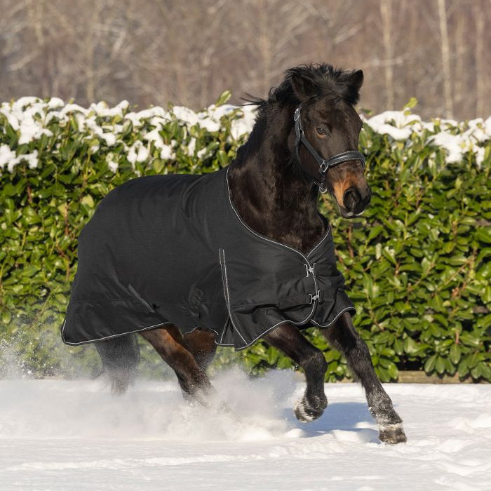 Waldhausen Nordic 50g Turnout Rug #colour_black