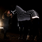 Horseware Ireland Amigo 1200D FieldSafe Reflectech Plus 0g Turnout Rug #colour_black-reflective-black