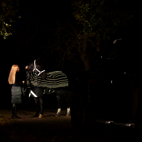 Horseware Ireland Amigo 1200D FieldSafe Reflectech Plus 250g Turnout Rug #colour_black-reflective-black