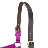 Shires ARMA Premium Adjustable FieldSafe Headcollar #colour_raspberry