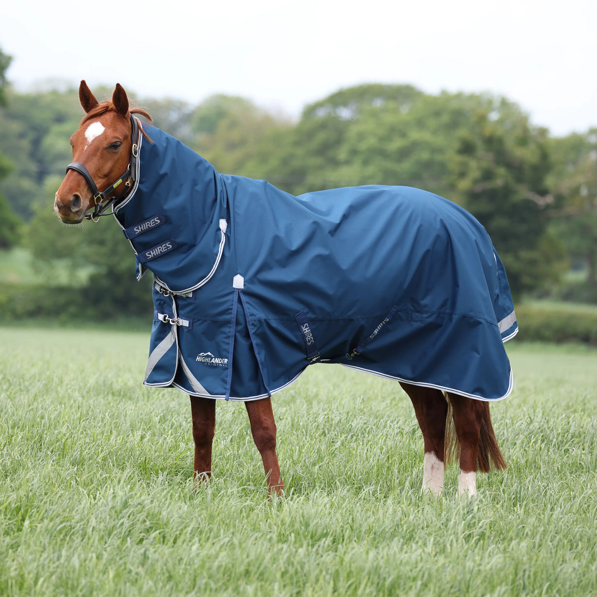 Shires Highlander Original 50 Combo Turnout Rug