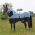 Shires Tempest Original Summer Shield with Mesh #colour_white