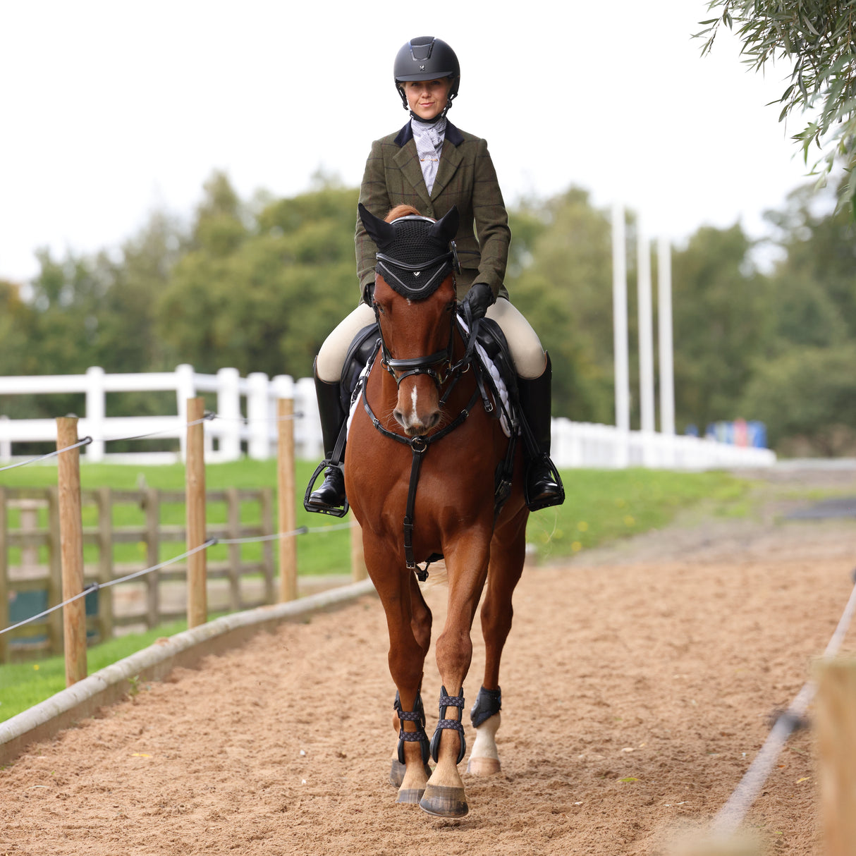 Shires Aubrion Saratoga Ladies Jacket #colour_spruce-green-check