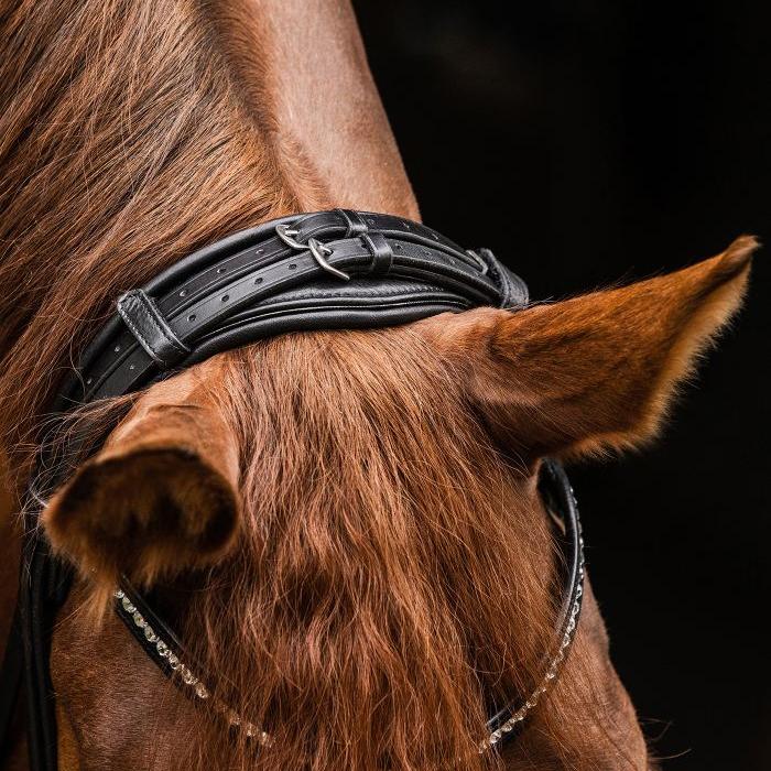 Waldhausen S-Line Bridle Magic #colour_black