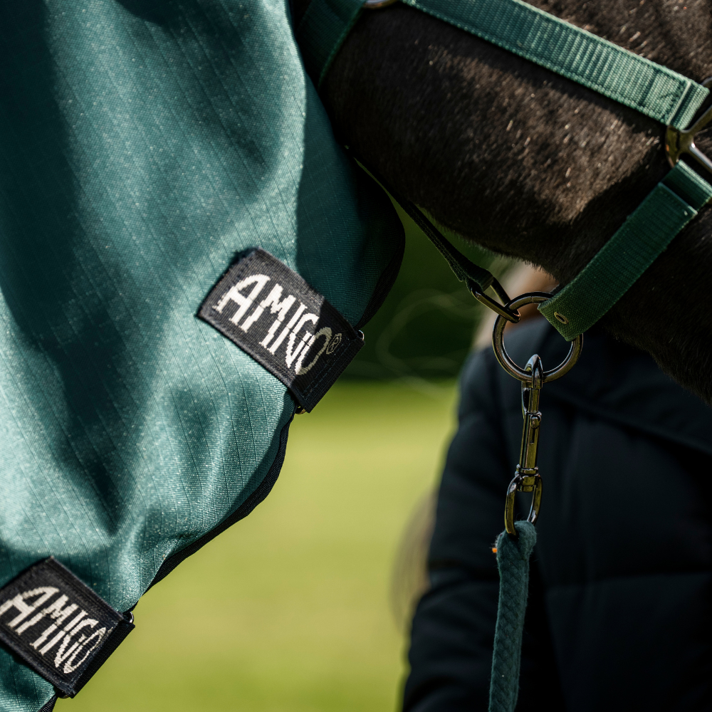 Horseware Ireland Amigo Ripstop 900D Plus 100g Pony Turnout Rug #colour_dynasty-green-navy-silver