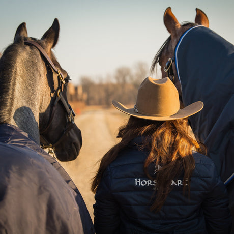 Horseware Ireland Amigo Bravo 12 Plus 400g Heavy Turnout Rug