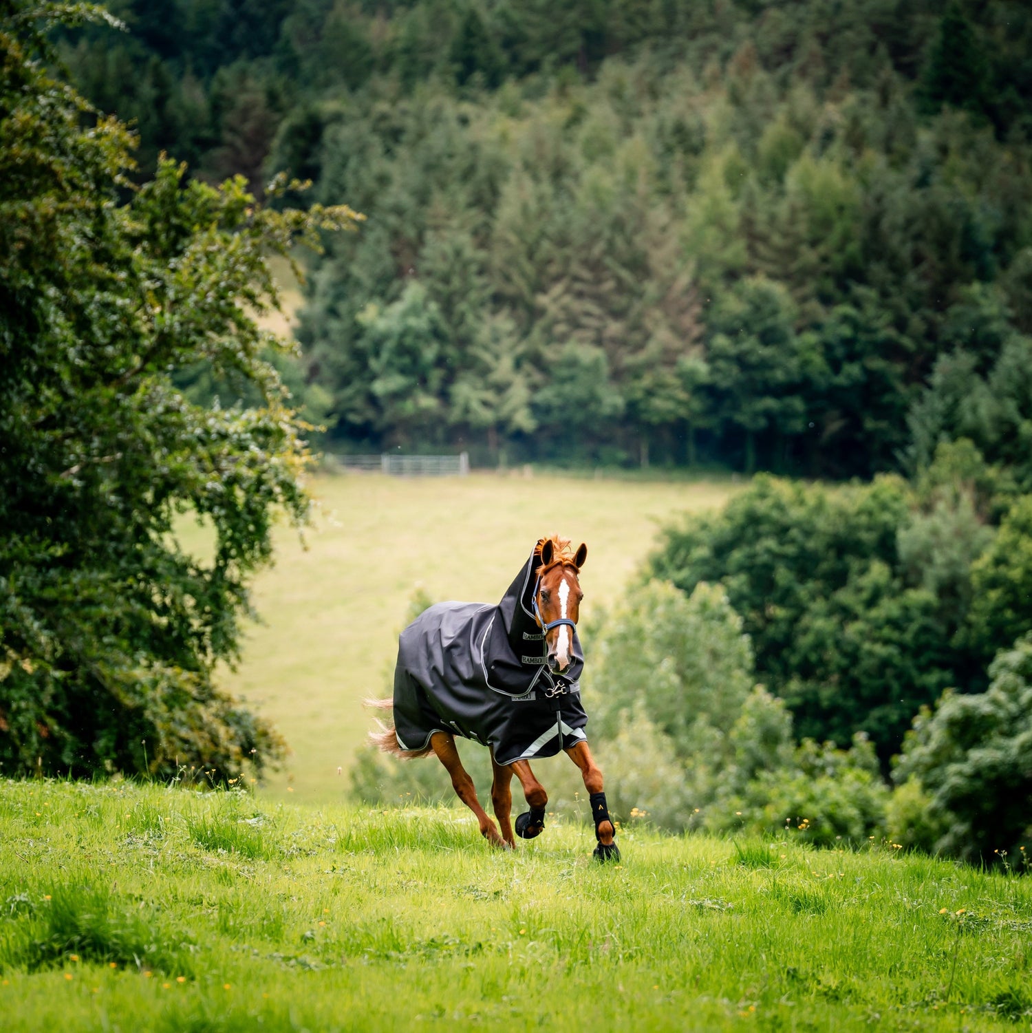 Horseware Ireland Rambo Supreme 1680D Turnout Plus 50g #colour_black-thunderstorm-grey-silver