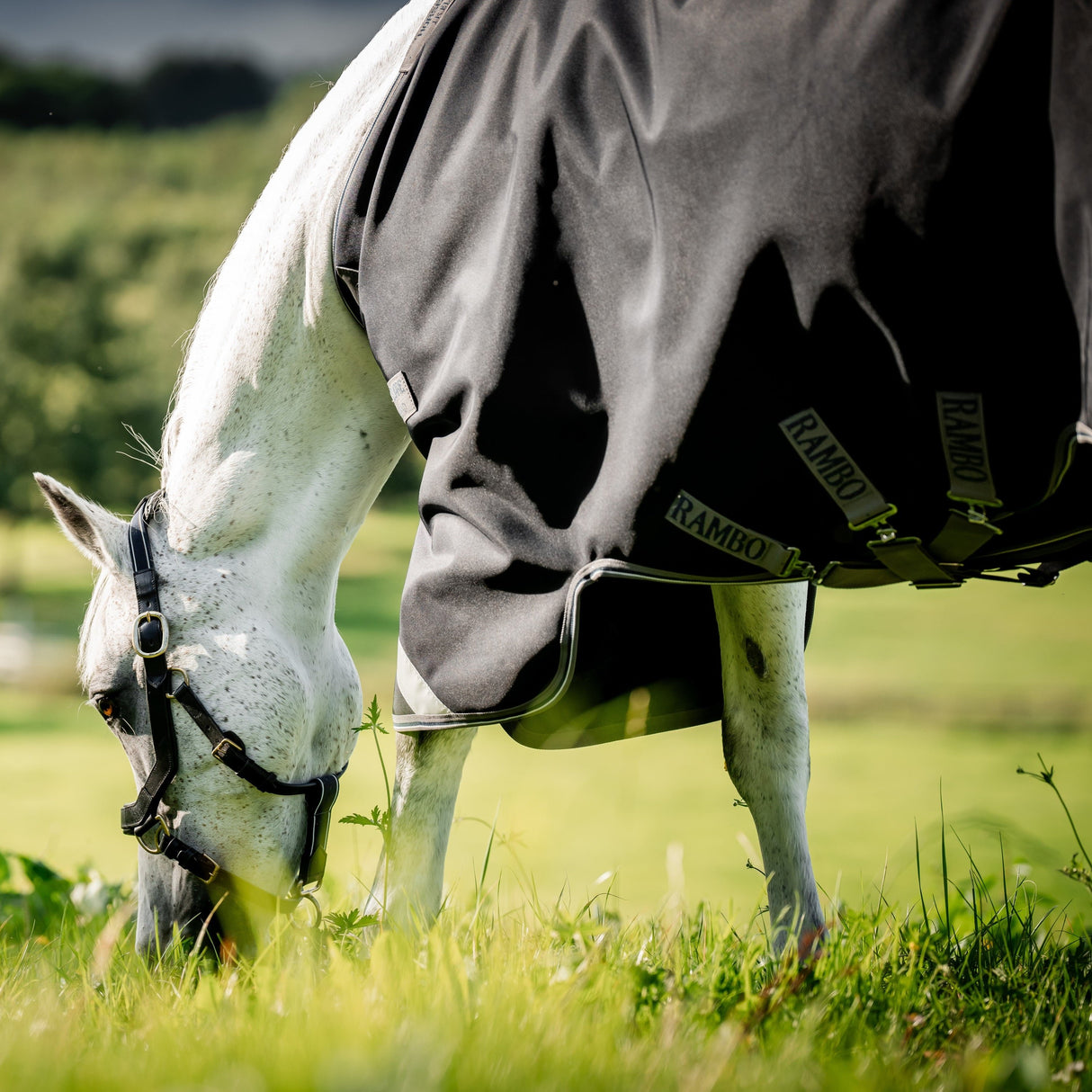 Horseware Ireland Rambo Supreme 1680D Turnout Vari-Layer 450g #colour_black-thunderstorm-grey-silver