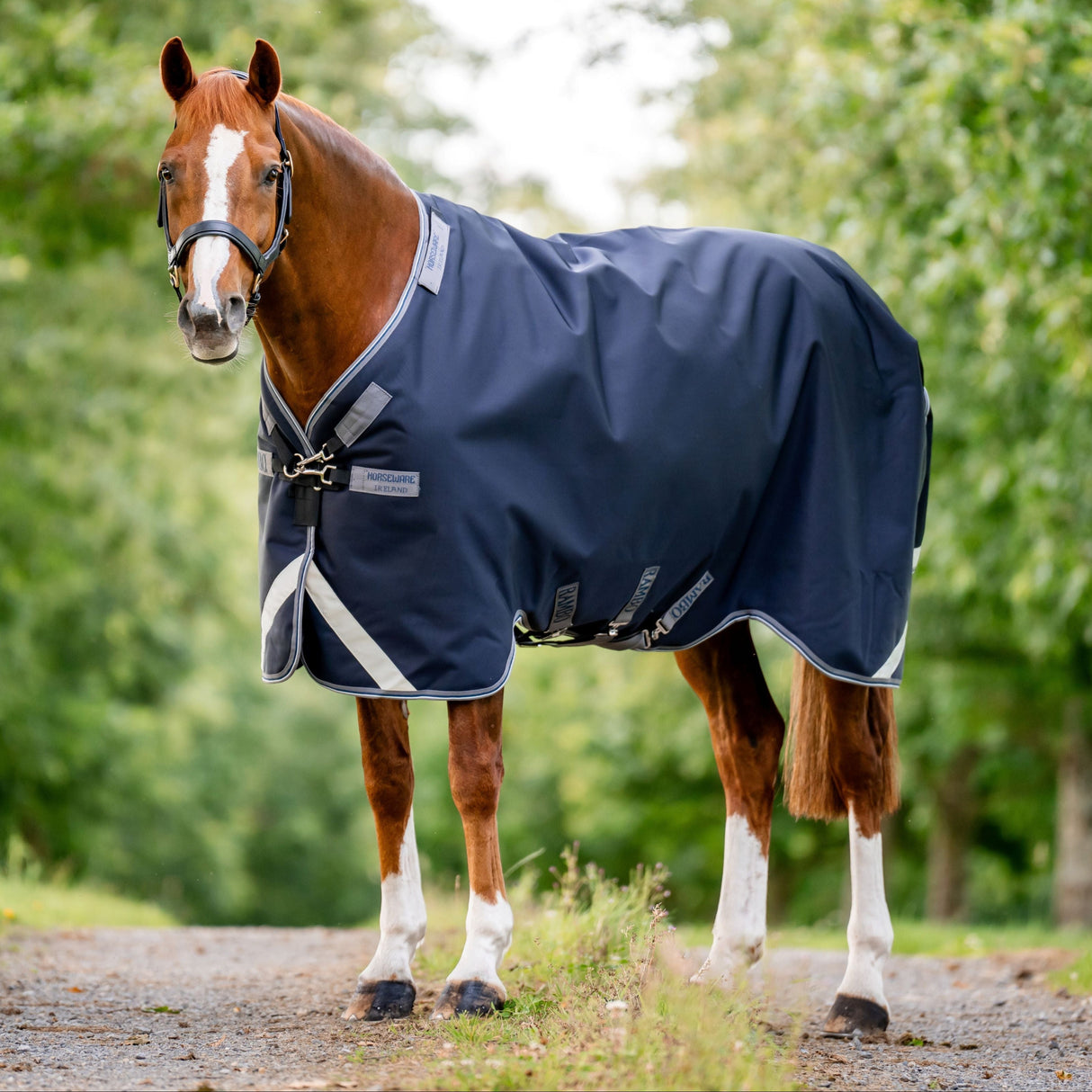 Horseware Ireland Rambo 1680D 50g Turnout Rug #colour_navy-thunderstorm-grey-silver
