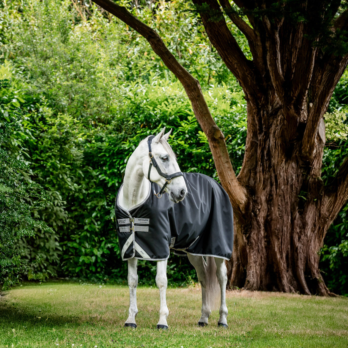 Horseware Ireland Amigo Bravo 12 Original 50g Lite Turnout Rug #colour_black-titanium-grey-silver