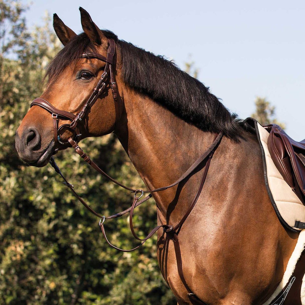 Acavallo Collier Martingale Calfskin #colour_brown