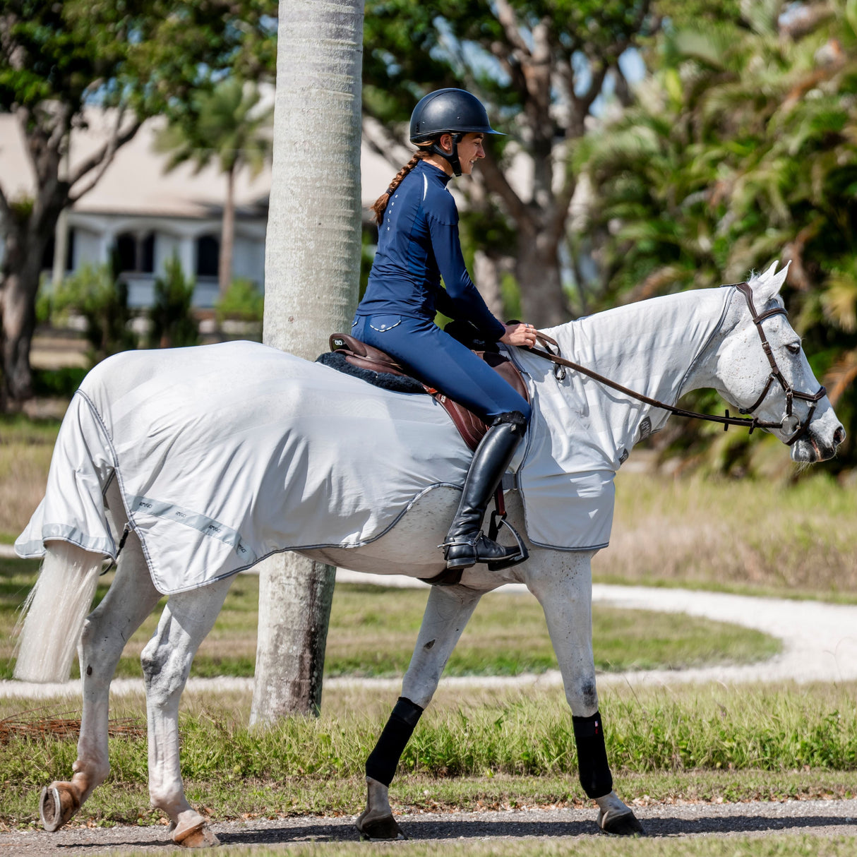 Horseware Ireland Amigo Flyrider #colour_silver-titanium-grey-silver