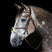 Whitaker Vienna Bridle With Reins #colour_havana