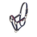 Double adjustment halter