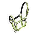 Halter with fleece padding and snap hook