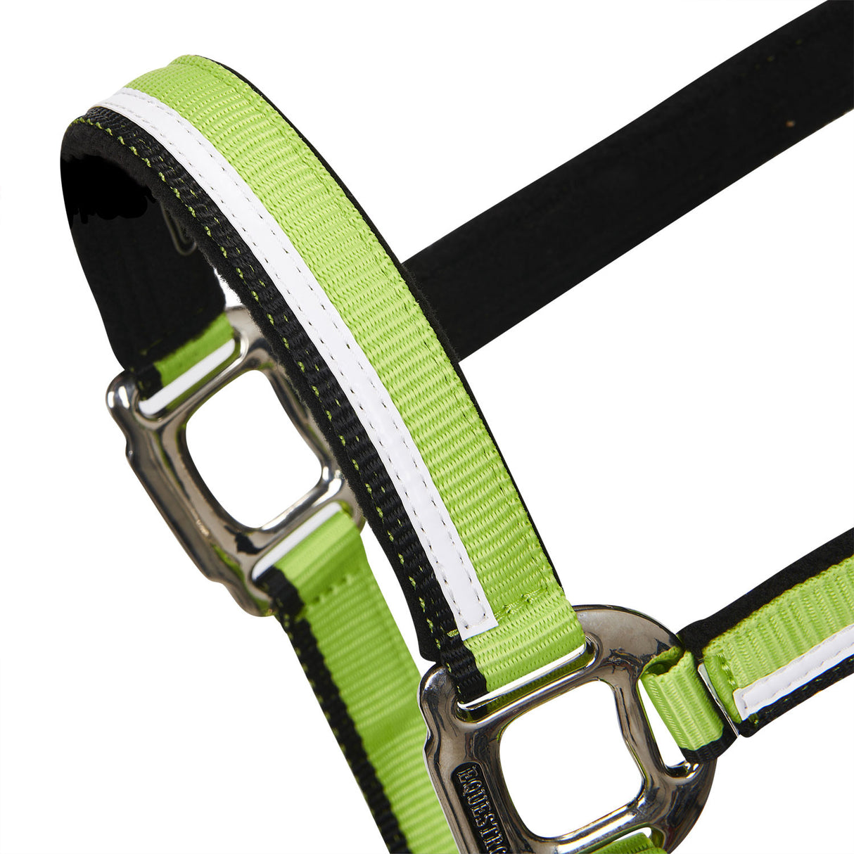 Halter with fleece padding and snap hook