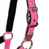 Padded double adjustment headcollar