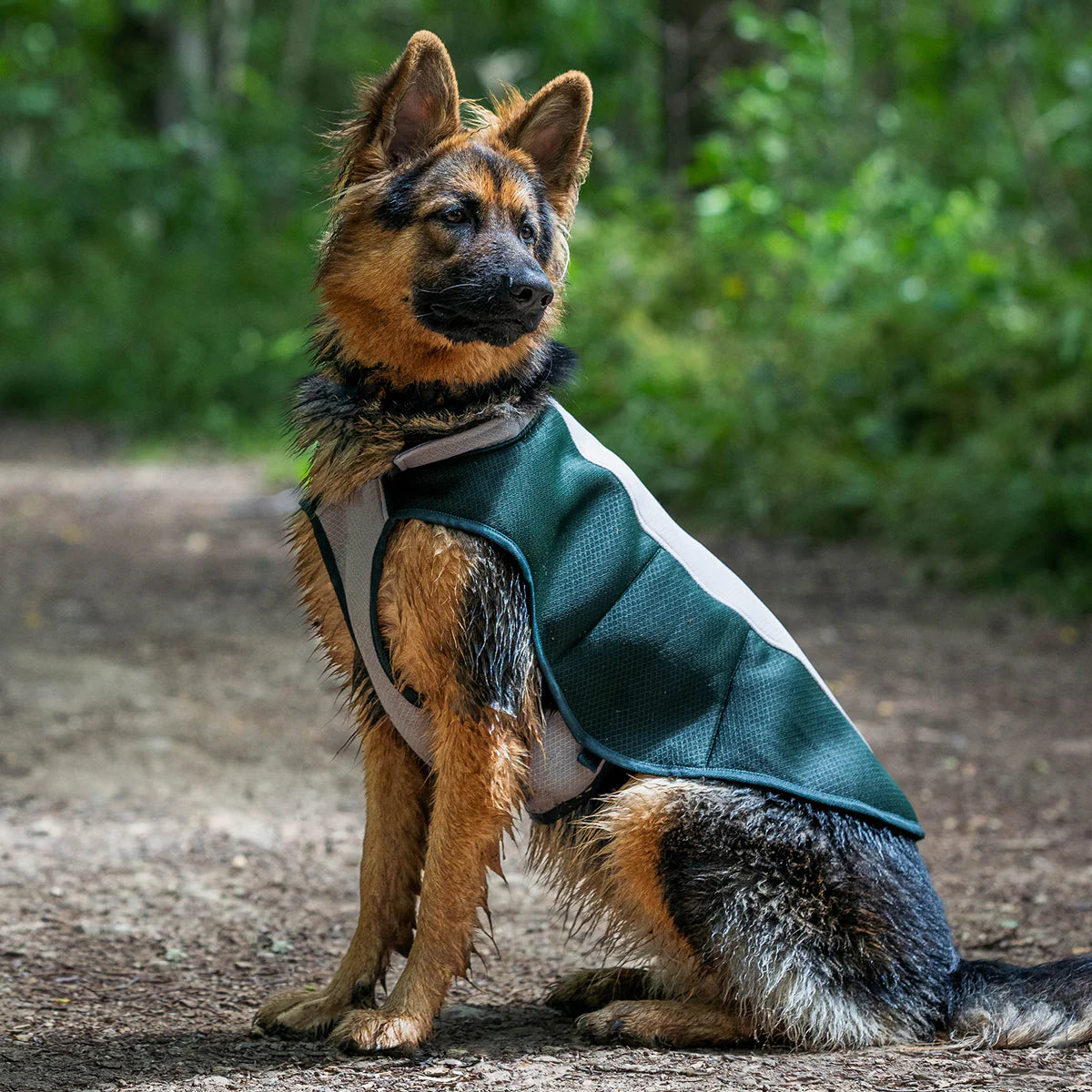 Ruff & Tumble Dog Cooling Coat