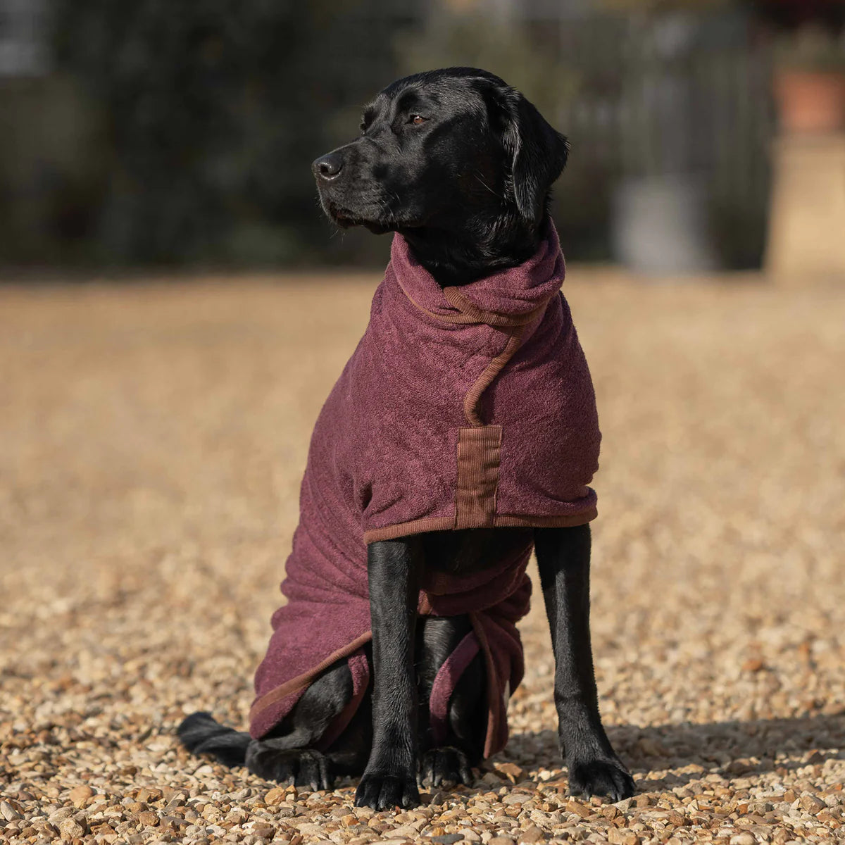 Ruff & Tumble Country Dog Drying Coat #colour_burgundy