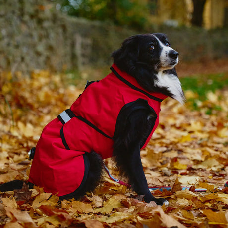 Danish Design 3-In-1 Dog Coat #colour_red