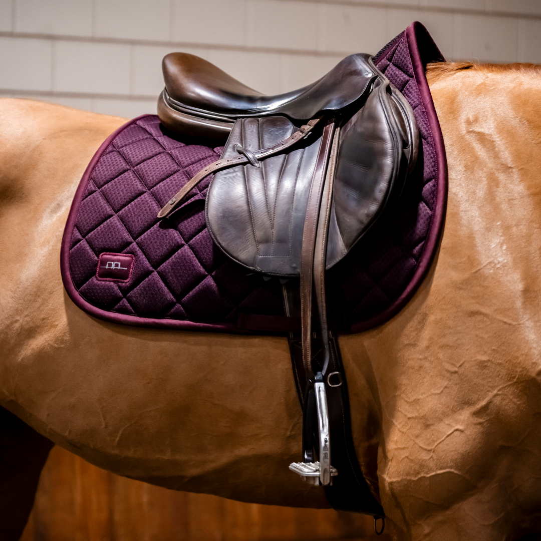 Horseware Ireland Alessandro Albanese Performance Jump Pad