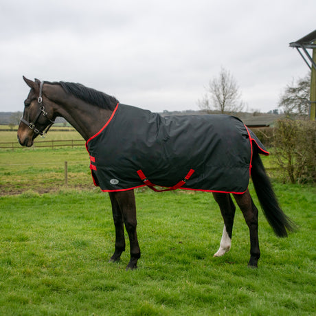 GS Equestrian Standard Neck 200g Weidedecke