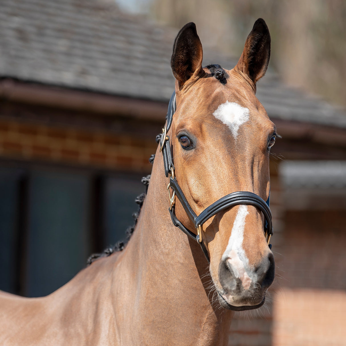 Henry James Comfort 3D Air Headcollar #colour_black