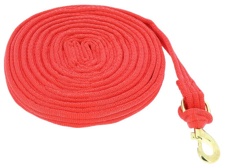 Norton Padded Lunge Line #colour_red