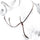Equipe Leather Martingale with Silver Fittings_#Colour_brown