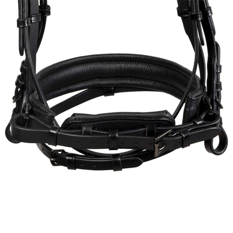 English leather bridle with glittery noseband