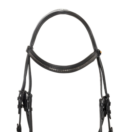 Leather bridle with black clincher