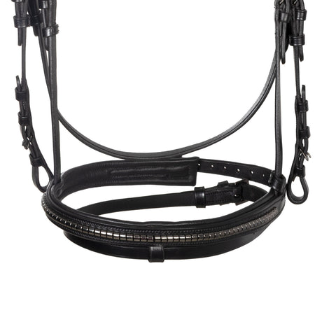 Leather bridle with black clincher