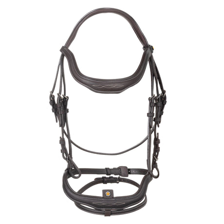 Soft leather stitched bridle