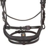 Soft leather stitched bridle