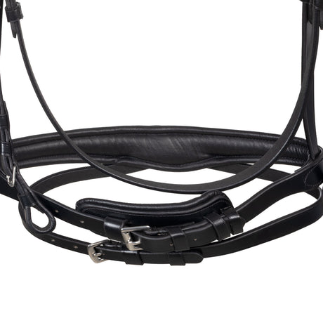 Anatomical bridle with fuchsia rhinestones