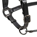 Leather halter with glittery piping