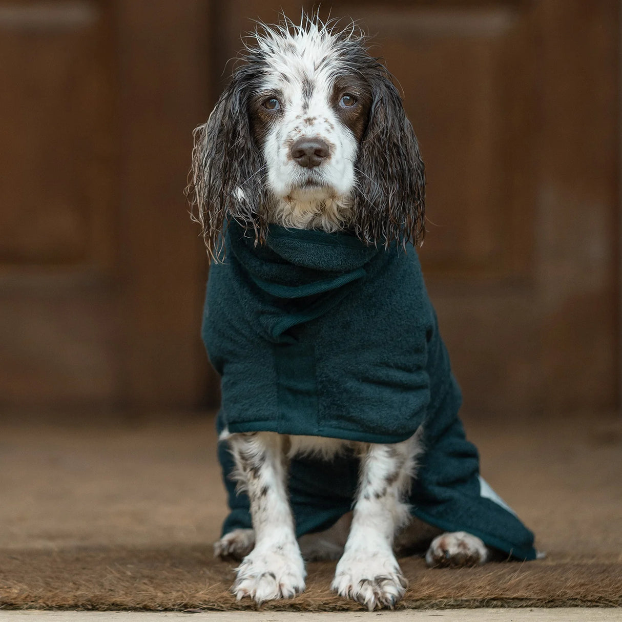 Ruff & Tumble Classic Dog Drying Coat #colour_forest