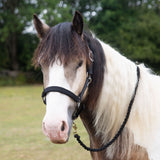 Gallop Premium Padded Headcollar With Lead Rope #colour_black