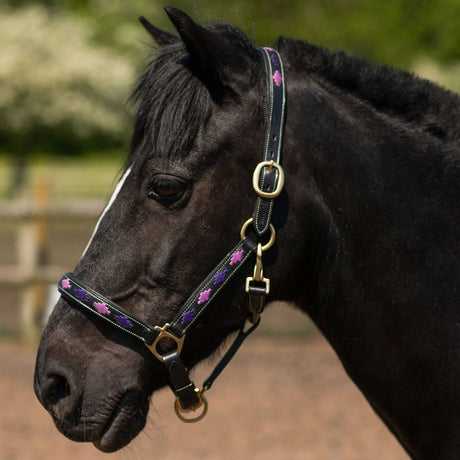 Gallop Premium Padded Leather Headcollar #colour_purple-lilac
