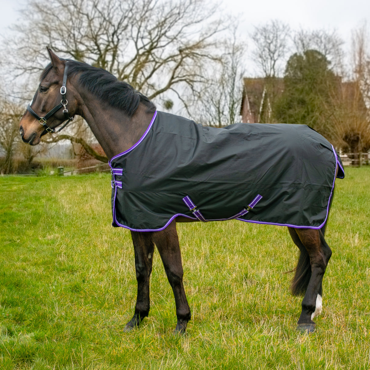 GS Equestrian 600D Waterproof Turnout Rug 0g