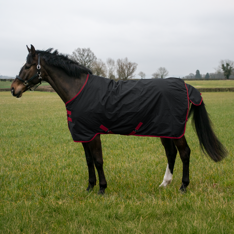 GS Equestrian 600D wasserdichte Weidedecke, 0 g